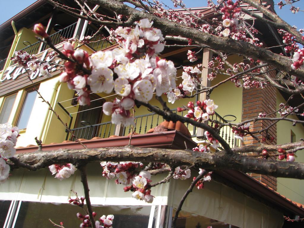 Kybele Hotel Gocek Göcek Zewnętrze zdjęcie